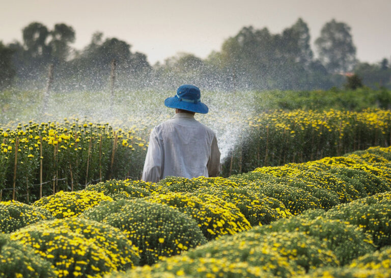 Benefits Of Organic Food