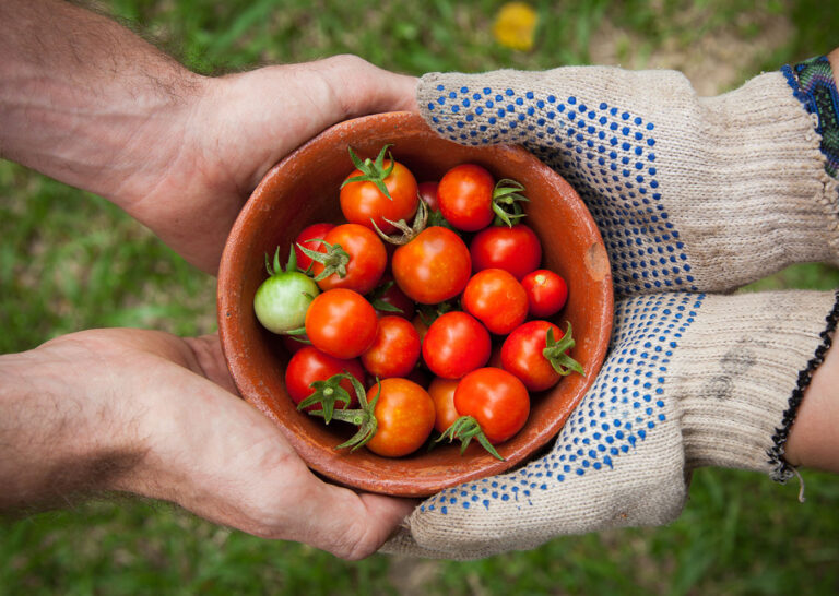 Luscious organic produce